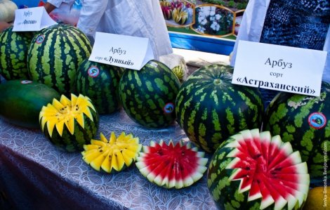 В Астрахани эксперты обсудили Актуальные проблемы банкростства физических лиц